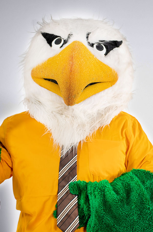 Scrappy Career Coach
